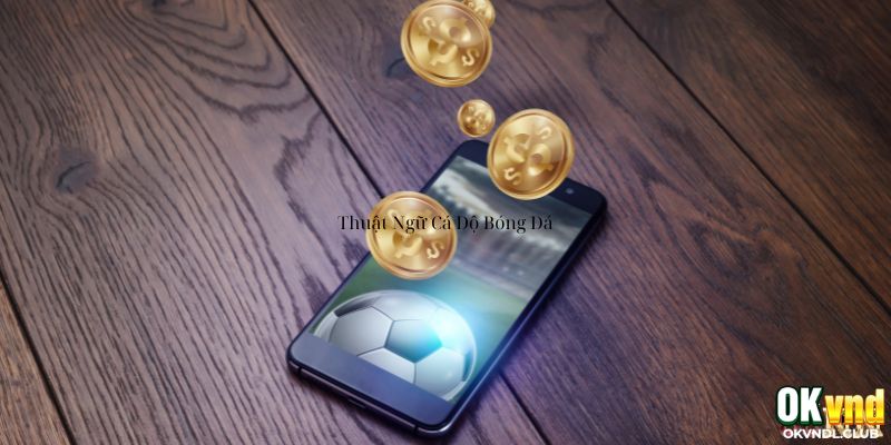 thuat-ngu-ca-do-bong-da-okvnd